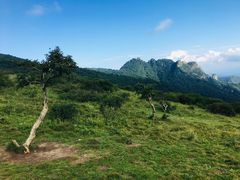 -秦岭风景区