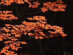 -本溪老边沟风景区