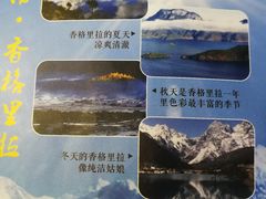 -雀舞云南菜(乐客城店)