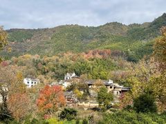 -塔川景区