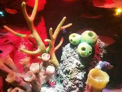 -沈阳海洋探索中心