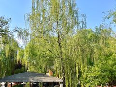 -唐城墙遗址公园