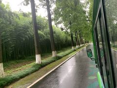 -黄海国家森林公园