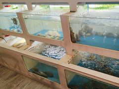 -质烤烤物·活烤海鲜(质烤总店)