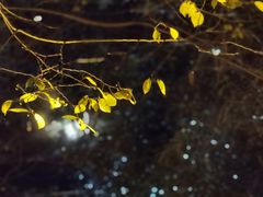 -扬州瘦西湖汇金酒店