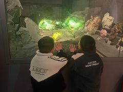 -湖南省地质博物馆