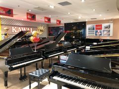 -柏斯音乐艺术中心·钢琴·吉他(世纪金源店)