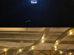门面-造精酿餐厅