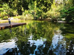 -海南热带野生动植物园
