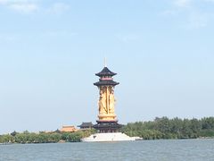 -溱湖国家湿地公园