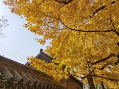 -浮来山风景区