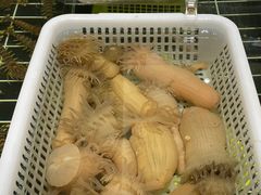 -阿毛饭店·正宗宁波菜(儿童公园旗舰店)