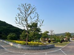 -龙寺生态园