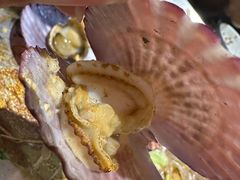 -金明子八带鱼馆(正宗韩国连锁店)