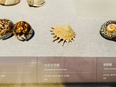 -中国（海南）南海博物馆