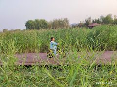 -永定河休闲森林公园