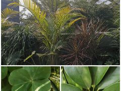 -马家斑.鲜鱼火锅(松湖万科店)