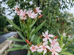 -招商局历史博物馆