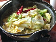 砂锅包菜-四季春