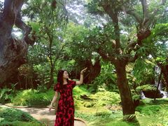 -Chom Cafe and Restaurant