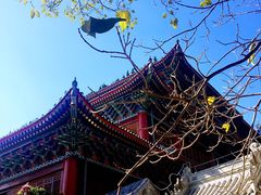 -八大处公园