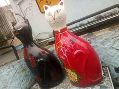 -猫咪博物馆(顶澳仔猫街店)