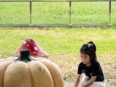 -苏州太湖西山岛开心农场