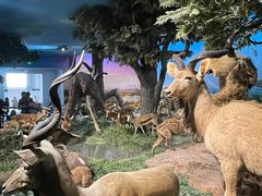 -国家自然博物馆