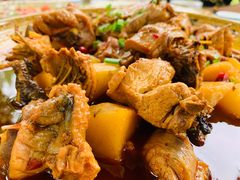 -青城甲(青城山店)