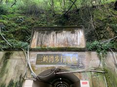 -黔灵山公园