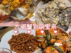-杨氏青龙虾·羊蝎子(托乐嘉店)