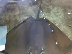 -鸿通城购物中心