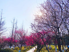 -大蜀山国家森林公园