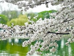 -陶然亭公园