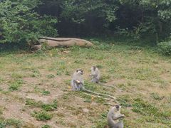 -宁波野生动物园