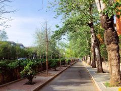 -斯多格书乡(北京大学畅春园店)