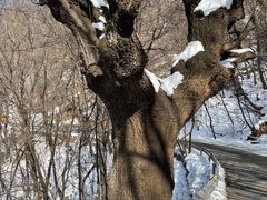 -终南山南五台景区