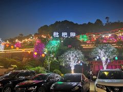 -枇杷园食为鲜火锅(南山店)