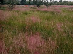 -汉长安城未央宫国家考古遗址公园