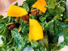 -Wagas沃歌斯(大学路店)