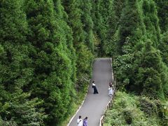 -武陵山森林公园