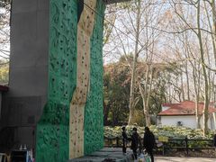 -上海共青森林公园