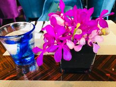 -YUE·6·西式融合餐厅(外滩六号店)