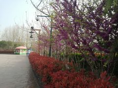 -郑州方特梦幻王国