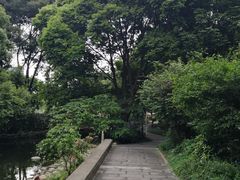 -成都市活水公园