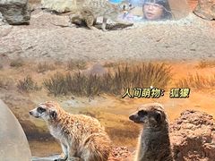 -正佳雨林生态植物园