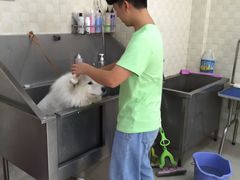 -贝妮宠物医院