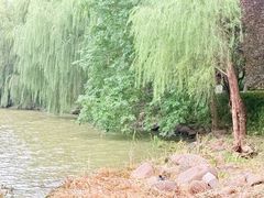 -云龙湖旅游景区