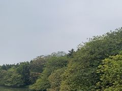 -海珠湖公园