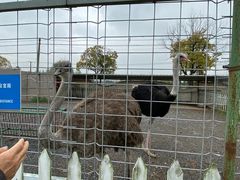 -上海长兴岛郊野公园